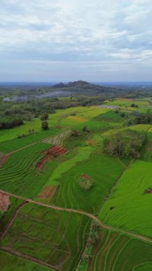Endonezya 'nın harika gündoğumu manzarası. Parlak gökyüzü ile doğa vadisi ormanı.