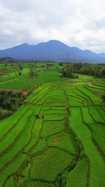 Endonezya 'nın harika gündoğumu manzarası. Parlak gökyüzü ile doğa vadisi ormanı.