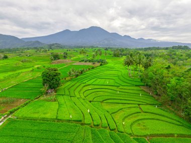 Endonezya 'nın harika gündoğumu manzarası. Parlak gökyüzü ile doğa vadisi ormanı.
