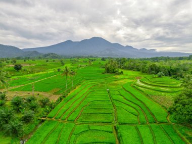 Endonezya 'nın harika gündoğumu manzarası. Parlak gökyüzü ile doğa vadisi ormanı.