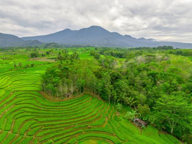 Endonezya 'nın harika gündoğumu manzarası. Parlak gökyüzü ile doğa vadisi ormanı.