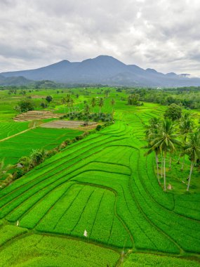 Endonezya 'nın harika gündoğumu manzarası. Parlak gökyüzü ile doğa vadisi ormanı.