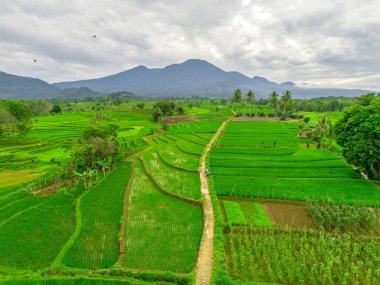 Endonezya 'nın harika gündoğumu manzarası. Parlak gökyüzü ile doğa vadisi ormanı.