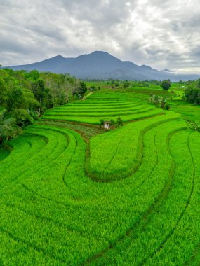 Endonezya 'nın harika gündoğumu manzarası. Parlak gökyüzü ile doğa vadisi ormanı.