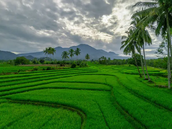 Endonezya 'nın harika gündoğumu manzarası. Parlak gökyüzü ile doğa vadisi ormanı.