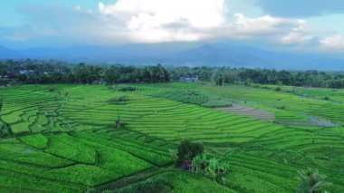 Endonezya 'nın harika gündoğumu manzarası. Parlak gökyüzü ile doğa vadisi ormanı.