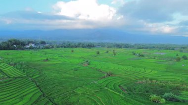 Endonezya 'nın harika gündoğumu manzarası. Parlak gökyüzü ile doğa vadisi ormanı.