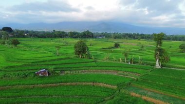 Endonezya 'nın harika gündoğumu manzarası. Parlak gökyüzü ile doğa vadisi ormanı.