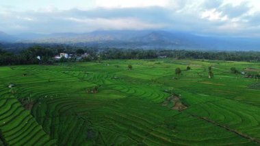 Endonezya 'nın harika gündoğumu manzarası. Parlak gökyüzü ile doğa vadisi ormanı.