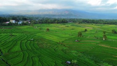 Endonezya 'nın harika gündoğumu manzarası. Parlak gökyüzü ile doğa vadisi ormanı.