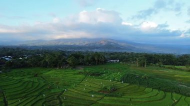 Endonezya 'nın harika gündoğumu manzarası. Parlak gökyüzü ile doğa vadisi ormanı.