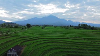 Endonezya 'nın harika gündoğumu manzarası. Parlak gökyüzü ile doğa vadisi ormanı.