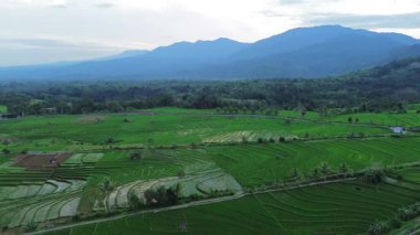 Endonezya 'nın harika gündoğumu manzarası. Parlak gökyüzü ile doğa vadisi ormanı.