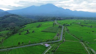 Endonezya 'nın harika gündoğumu manzarası. Parlak gökyüzü ile doğa vadisi ormanı.