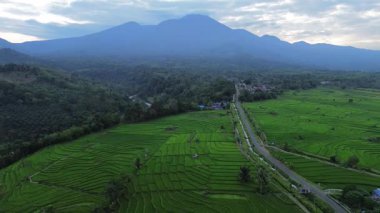 Endonezya 'nın harika gündoğumu manzarası. Parlak gökyüzü ile doğa vadisi ormanı.
