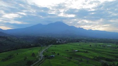 Endonezya 'nın harika gündoğumu manzarası. Parlak gökyüzü ile doğa vadisi ormanı.