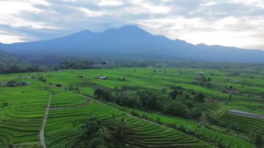 Endonezya 'nın harika gündoğumu manzarası. Parlak gökyüzü ile doğa vadisi ormanı.
