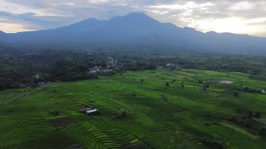 Endonezya 'nın harika gündoğumu manzarası. Parlak gökyüzü ile doğa vadisi ormanı.