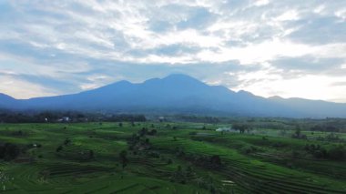 Endonezya 'nın harika gündoğumu manzarası. Parlak gökyüzü ile doğa vadisi ormanı.