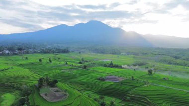 Endonezya 'nın harika gündoğumu manzarası. Parlak gökyüzü ile doğa vadisi ormanı.