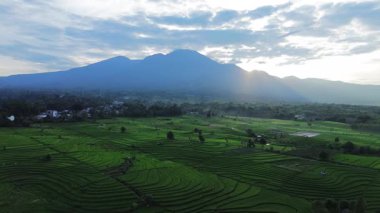 Endonezya 'nın harika gündoğumu manzarası. Parlak gökyüzü ile doğa vadisi ormanı.