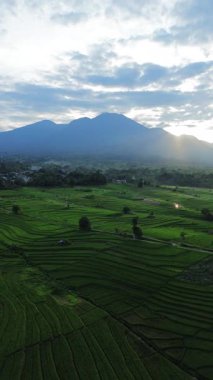 Endonezya 'nın harika gündoğumu manzarası. Parlak gökyüzü ile doğa vadisi ormanı.