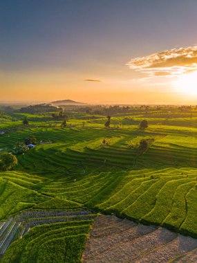 Endonezya 'nın harika gündoğumu manzarası. Parlak gökyüzü ile doğa vadisi ormanı.