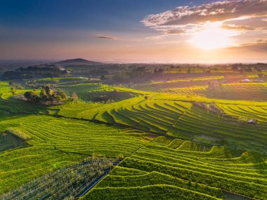 Endonezya 'nın harika gündoğumu manzarası. Parlak gökyüzü ile doğa vadisi ormanı.