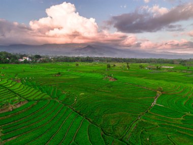 Endonezya 'nın harika gündoğumu manzarası. Parlak gökyüzü ile doğa vadisi ormanı.