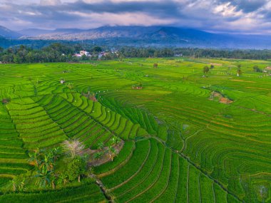 Endonezya 'nın harika gündoğumu manzarası. Parlak gökyüzü ile doğa vadisi ormanı.