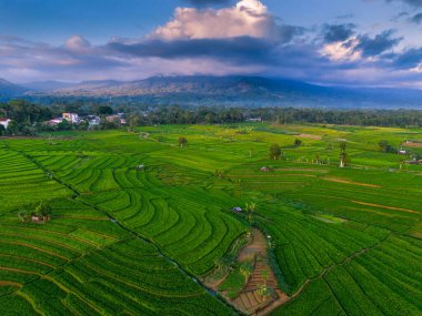 Endonezya 'nın harika gündoğumu manzarası. Parlak gökyüzü ile doğa vadisi ormanı.
