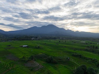 Endonezya 'nın harika gündoğumu manzarası. Parlak gökyüzü ile doğa vadisi ormanı.
