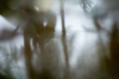 Suyun Soyut Doğası ve Yaprakları Makro Doku