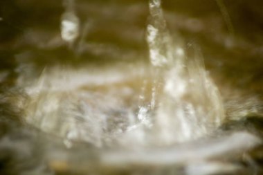 Suyun Soyut Doğası ve Yaprakları Makro Doku