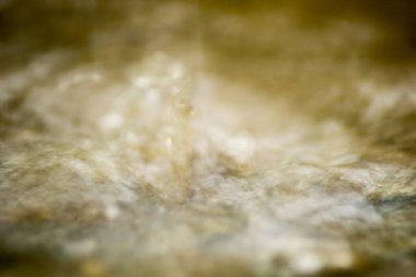 Suyun Soyut Doğası ve Yaprakları Makro Doku