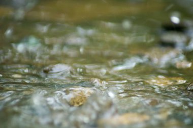Suyun Soyut Doğası ve Yaprakları Makro Doku