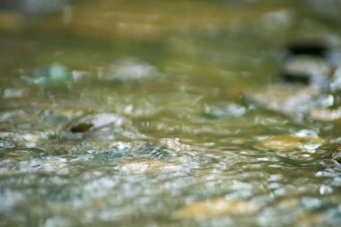 Suyun Soyut Doğası ve Yaprakları Makro Doku