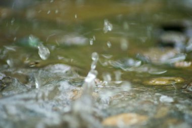 Suyun Soyut Doğası ve Yaprakları Makro Doku