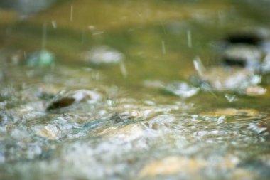 Suyun Soyut Doğası ve Yaprakları Makro Doku