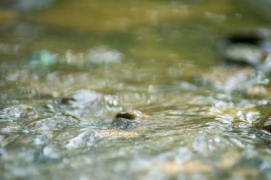 Suyun Soyut Doğası ve Yaprakları Makro Doku
