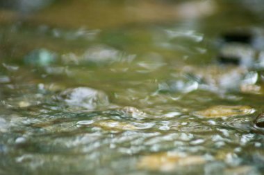 Suyun Soyut Doğası ve Yaprakları Makro Doku