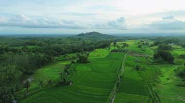 Güzel bir sabah manzarası Endonezya manzara ormanı güzellik rengi ve gökyüzü doğal ışığı