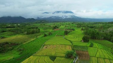 Güzel bir sabah manzarası Endonezya manzara ormanı güzellik rengi ve gökyüzü doğal ışığı