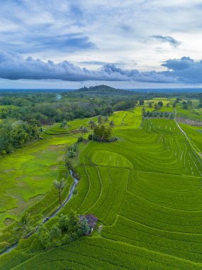 Endonezya 'nın harika gündoğumu manzarası. Parlak gökyüzü ile doğa vadisi ormanı.