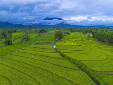 Endonezya 'nın harika gündoğumu manzarası. Parlak gökyüzü ile doğa vadisi ormanı.