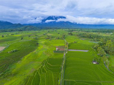 Endonezya 'nın harika gündoğumu manzarası. Parlak gökyüzü ile doğa vadisi ormanı.