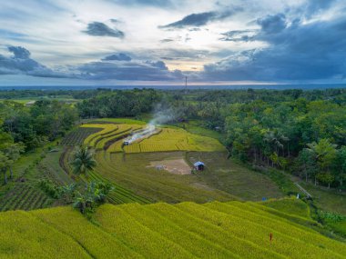 Endonezya 'nın harika gündoğumu manzarası. Parlak gökyüzü ile doğa vadisi ormanı.
