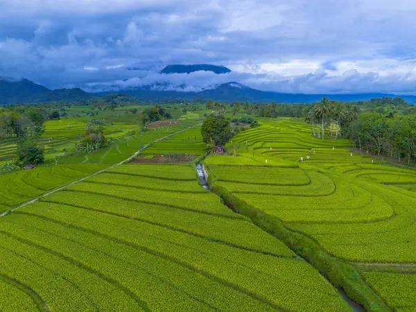 Endonezya 'nın harika gündoğumu manzarası. Parlak gökyüzü ile doğa vadisi ormanı.