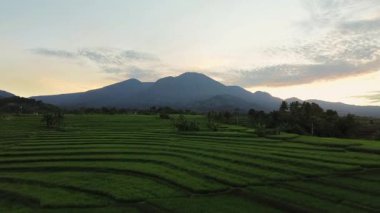 Beautiful morning view indonesia panorama landscape paddy fields with beauty color and sky natural light