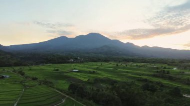 Beautiful morning view indonesia panorama landscape paddy fields with beauty color and sky natural light